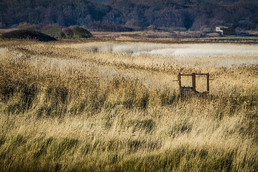 Minsmere RSPB Nature Reserve, Suffolk - on the England Coast Path